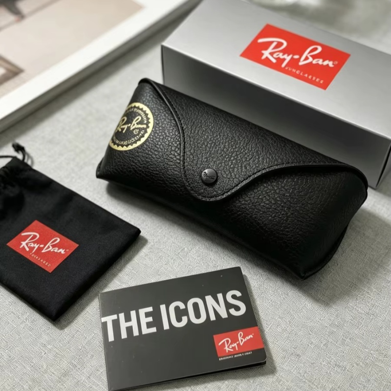 Ray-Ban Sonnenbrillenetui aus  – Travel Accessories Gifts For Men Bewertung und Preis